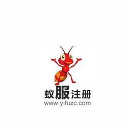 互聯(lián)網(wǎng)金融信息服務(wù) 變革時(shí)代的數(shù)據(jù)驅(qū)動(dòng)與風(fēng)險(xiǎn)管控